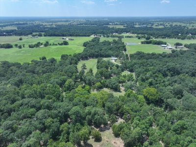 Country Home for sale in Alba, TX - image 34