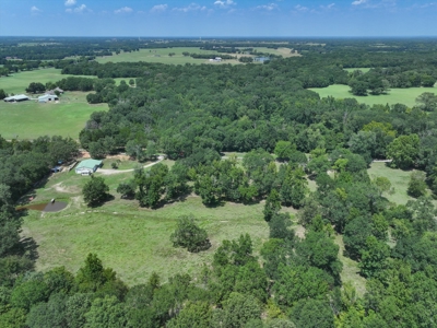 Country Home for sale in Alba, TX - image 37
