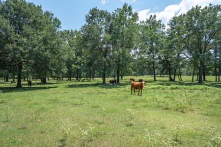 Country Home for sale in Alba, TX - image 40