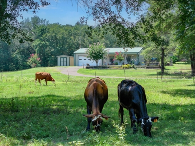 Country Home for sale in Alba, TX - image 19