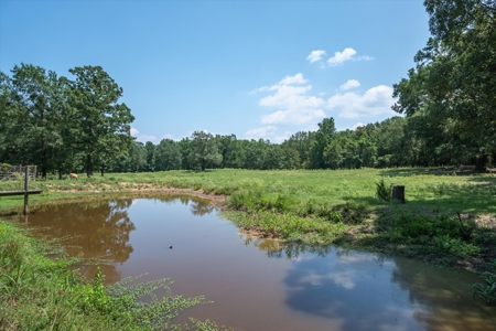 Country Home for sale in Alba, TX - image 28