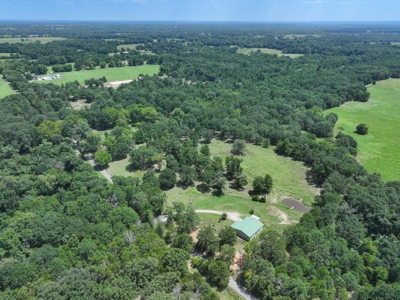 Country Home for sale in Alba, TX - image 32
