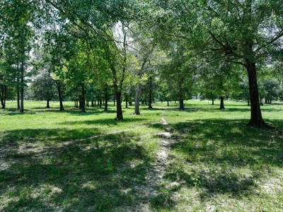 Country Home for sale in Alba, TX - image 39