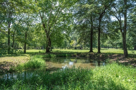 Country Home for sale in Alba, TX - image 41