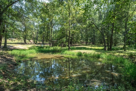Country Home for sale in Alba, TX - image 42