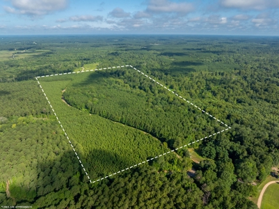 80± Acre Recreational Tract | Union Parish, LA - image 12