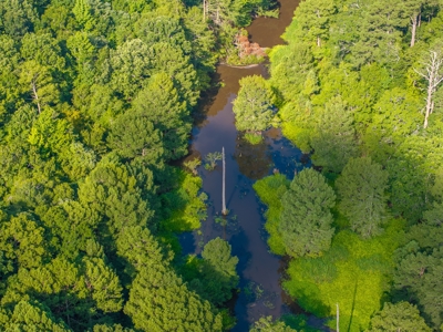 80± Acre Recreational Tract | Union Parish, LA - image 13