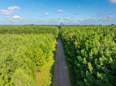 80± Acre Recreational Tract | Union Parish, LA - image 6