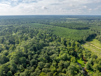 80± Acre Recreational Tract | Union Parish, LA - image 7