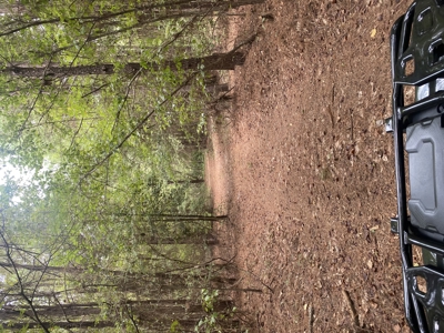 80± Acre Recreational Tract | Union Parish, LA - image 21