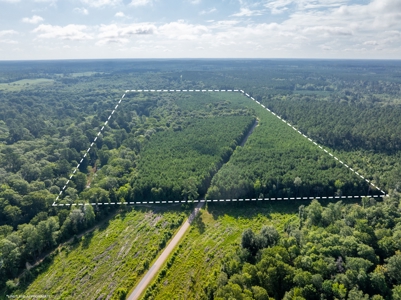 80± Acre Recreational Tract | Union Parish, LA - image 3