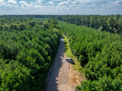 80± Acre Recreational Tract | Union Parish, LA - image 14
