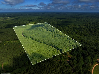 80± Acre Recreational Tract | Union Parish, LA - image 8