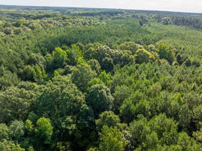 80± Acre Recreational Tract | Union Parish, LA - image 10