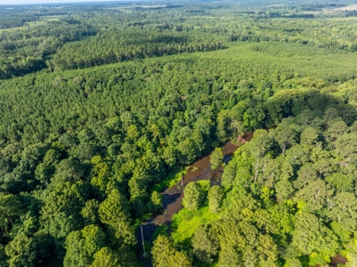 80± Acre Recreational Tract | Union Parish, LA - image 5