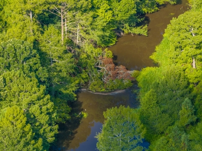 80± Acre Recreational Tract | Union Parish, LA - image 9