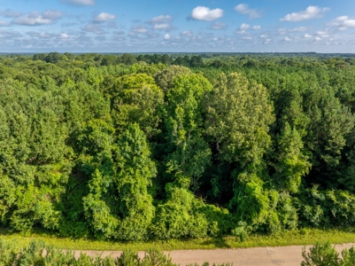 80± Acre Recreational Tract | Union Parish, LA - image 17