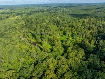 80± Acre Recreational Tract | Union Parish, LA - image 15