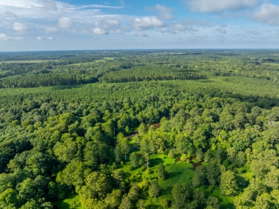 80± Acre Recreational Tract | Union Parish, LA - image 11