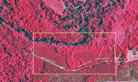 80± Acre Recreational Tract | Union Parish, LA - image 2