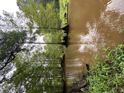 80± Acre Recreational Tract | Union Parish, LA - image 26