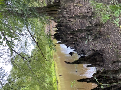 80± Acre Recreational Tract | Union Parish, LA - image 29
