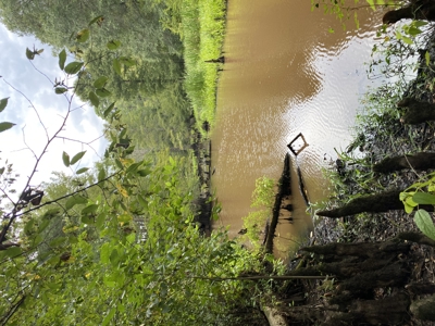 80± Acre Recreational Tract | Union Parish, LA - image 30