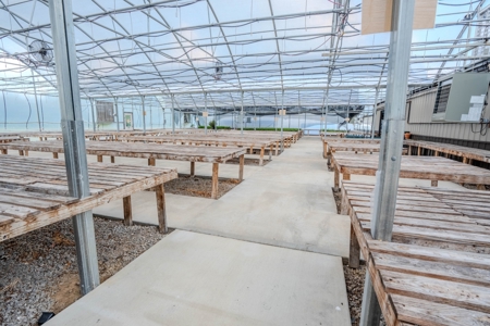 Plant Nursery For Sale in Tennessee Online Only Auction - image 10