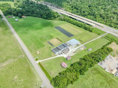 Plant Nursery For Sale in Tennessee Online Only Auction - image 35
