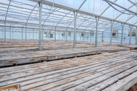 Plant Nursery For Sale in Tennessee Online Only Auction - image 14