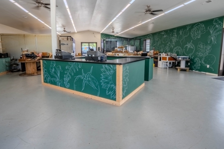 Plant Nursery For Sale in Tennessee Online Only Auction - image 5