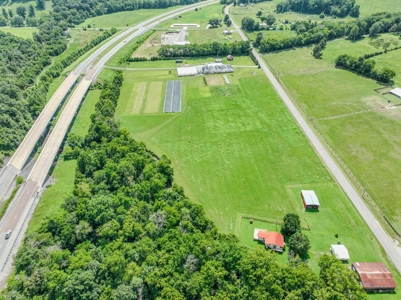 Plant Nursery For Sale in Tennessee Online Only Auction - image 31