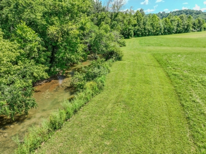Plant Nursery For Sale in Tennessee Online Only Auction - image 28