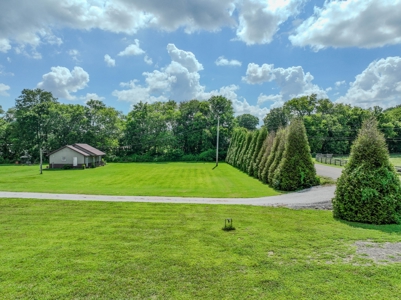 Plant Nursery For Sale in Tennessee Online Only Auction - image 33