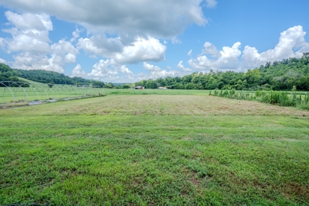 Plant Nursery For Sale in Tennessee Online Only Auction - image 36