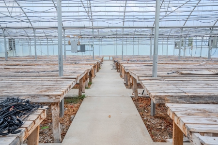 Plant Nursery For Sale in Tennessee Online Only Auction - image 15