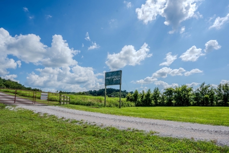 Plant Nursery For Sale in Tennessee Online Only Auction - image 22