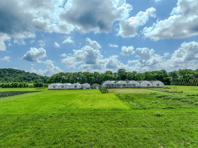 Plant Nursery For Sale in Tennessee Online Only Auction - image 20