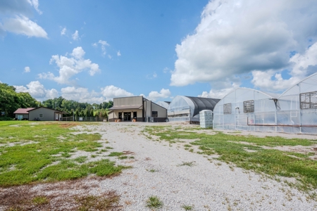 Plant Nursery For Sale in Tennessee Online Only Auction - image 3