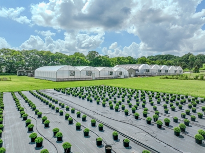 Plant Nursery For Sale in Tennessee Online Only Auction - image 18