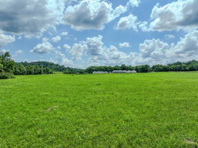 Plant Nursery For Sale in Tennessee Online Only Auction - image 29