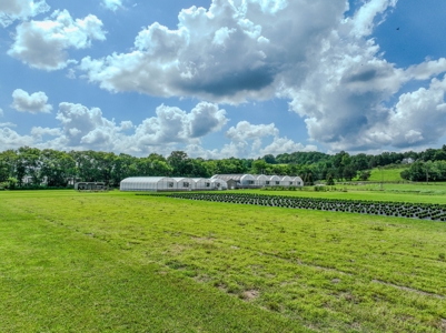 Plant Nursery For Sale in Tennessee Online Only Auction - image 21