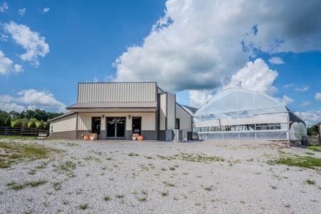 Plant Nursery For Sale in Tennessee Online Only Auction - image 2