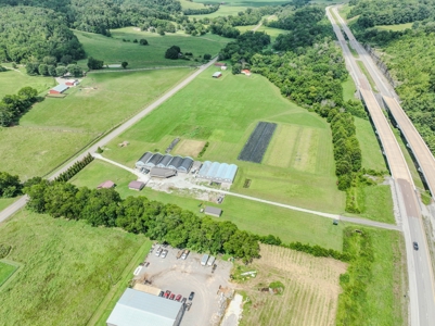 Plant Nursery For Sale in Tennessee Online Only Auction - image 34