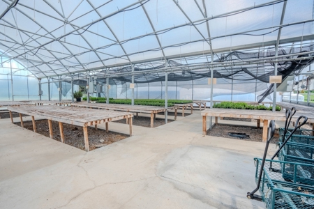 Plant Nursery For Sale in Tennessee Online Only Auction - image 9