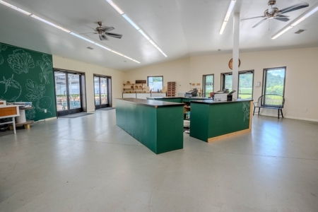 Plant Nursery For Sale in Tennessee Online Only Auction - image 7