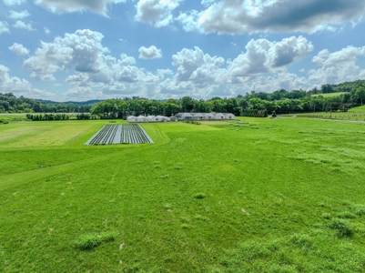 Plant Nursery For Sale in Tennessee Online Only Auction - image 32