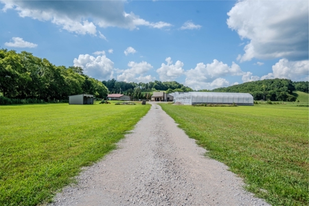 Plant Nursery For Sale in Tennessee Online Only Auction - image 24