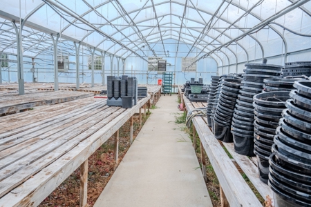 Plant Nursery For Sale in Tennessee Online Only Auction - image 16