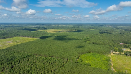 100± Acres of Timber & Hunting Land | Union Parish, LA - image 19